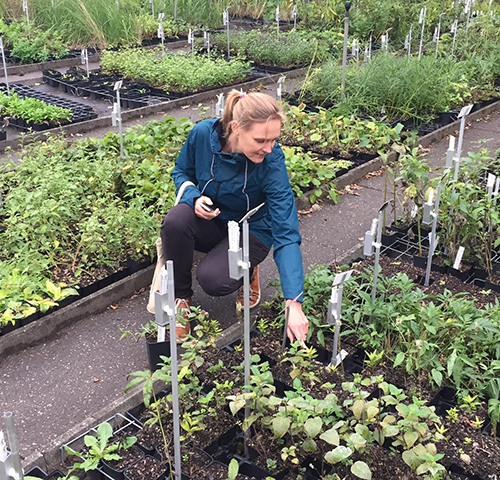 Grenzeloos betrokken… met Eline Kuijper